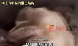 云吞最新爆料消息新闻,独家揭秘幕后真相，带你走进云吞世界