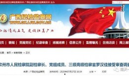 钦州爆料新闻最新消息,详情揭晓”